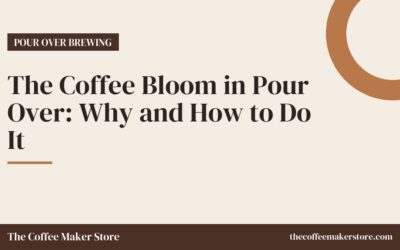 The Coffee Bloom in Pour Over: Why and How to Do It